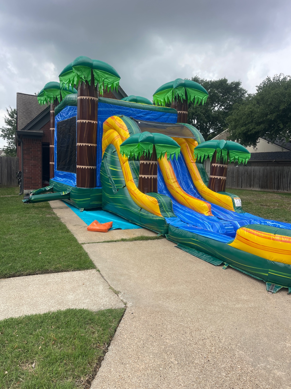 Cali Palms Dual lane Combo Bounce House — photo 3 of 4