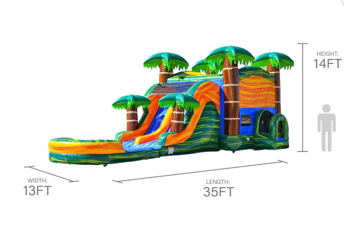 Cali Palms Dual lane Combo Bounce House — photo 4 of 4