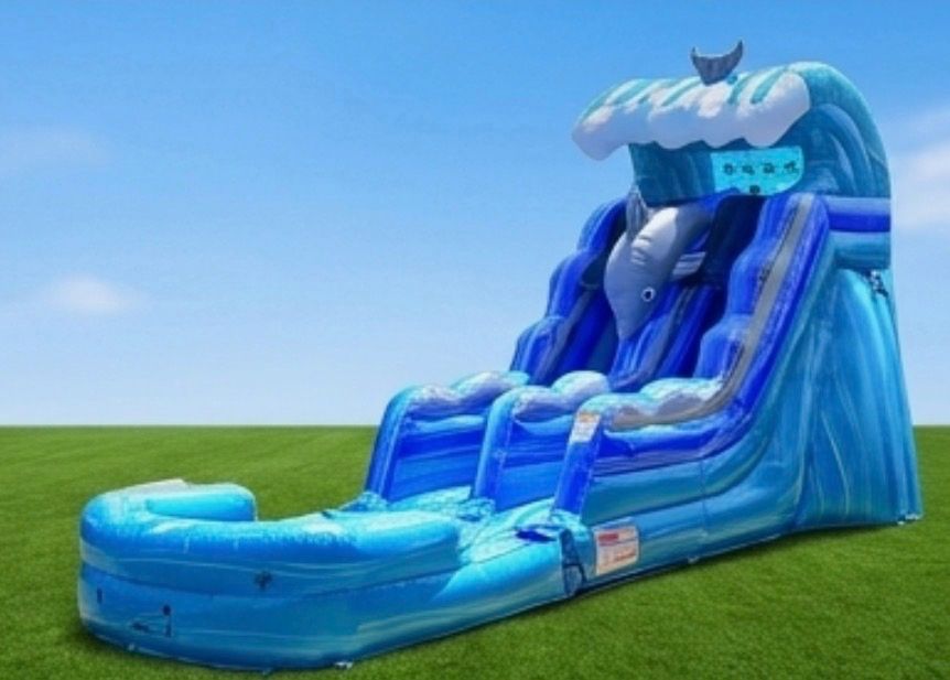 Dolphin 15ft Water Slide — photo 1 of 1